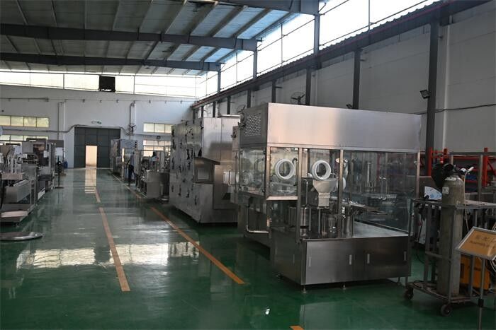 Suzhou Lingyao Intelligent Equipment Co., Ltd. manufacturer production line