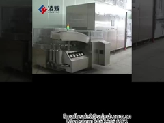 Ampoule Filling and Sealing Machine, Ampoule Filling and Sealing Line cGMP, CE qualified