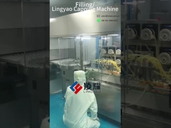 Automated Filling And Capping Machine 100-200 BPM Productive Meets GMP Standards