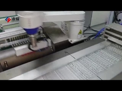 Full Process of PVC/Alu Blister Packaging Line in Action, High-Speed Automation