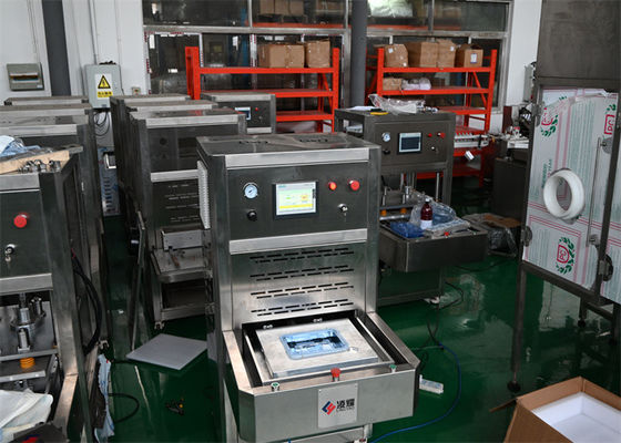 Buy 10mm Medical Heat Sealer with Adjustable Temperature for Tyvek Packaging online manufacture