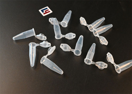 Enzyme Kinetics 0.1 Ml PCR Tubes Polypropylene Microfuge Tubes